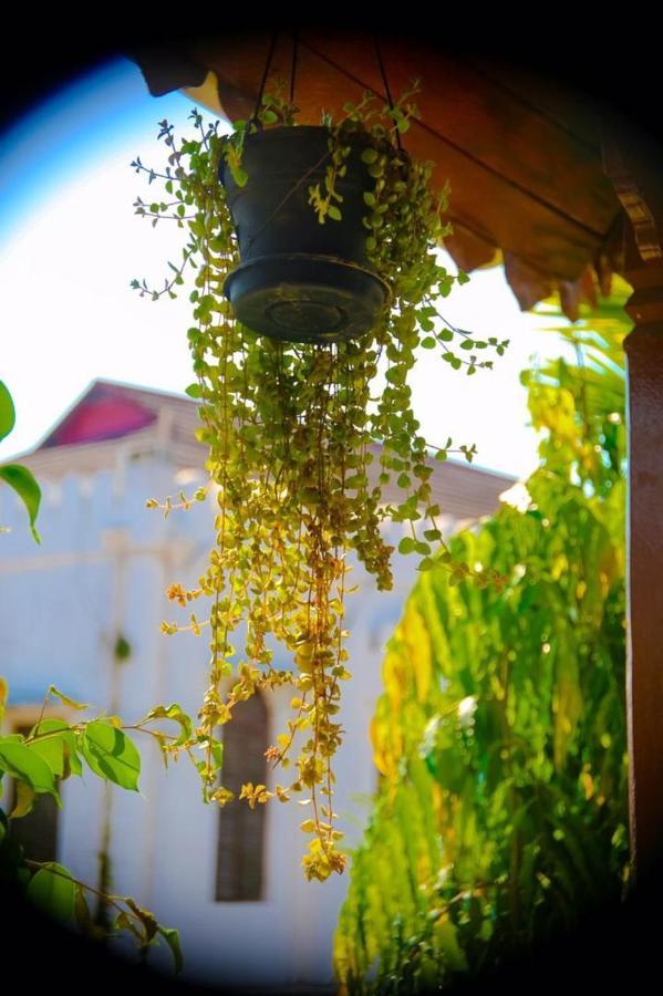 Garden Lodge Занзибар Экстерьер фото