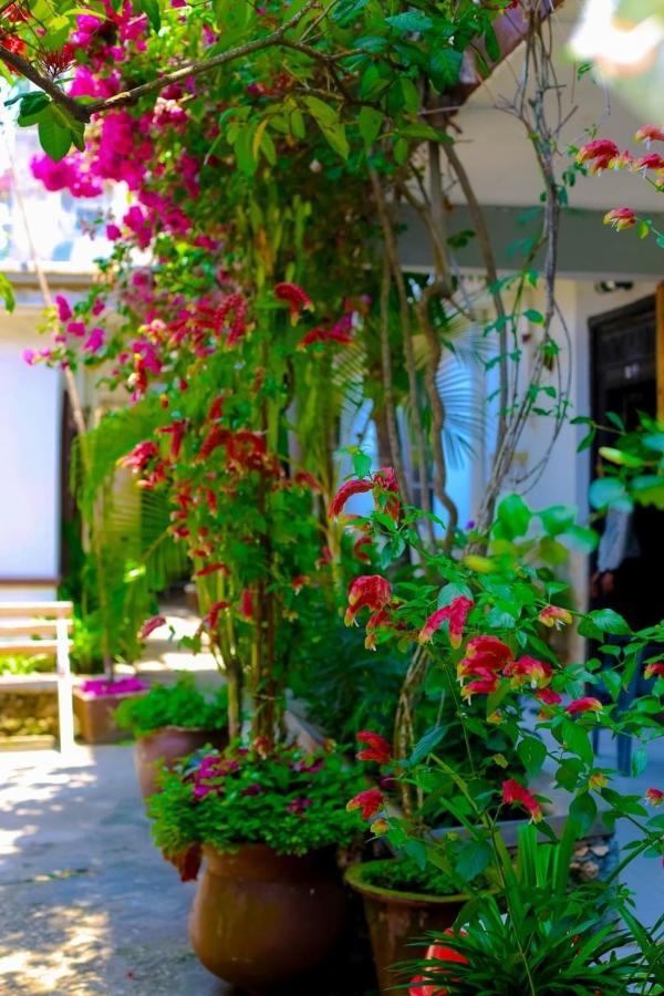 Garden Lodge Занзибар Экстерьер фото